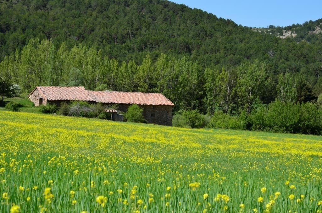 Hotel Rural Casa Ramiro Cedrillas Eksteriør billede